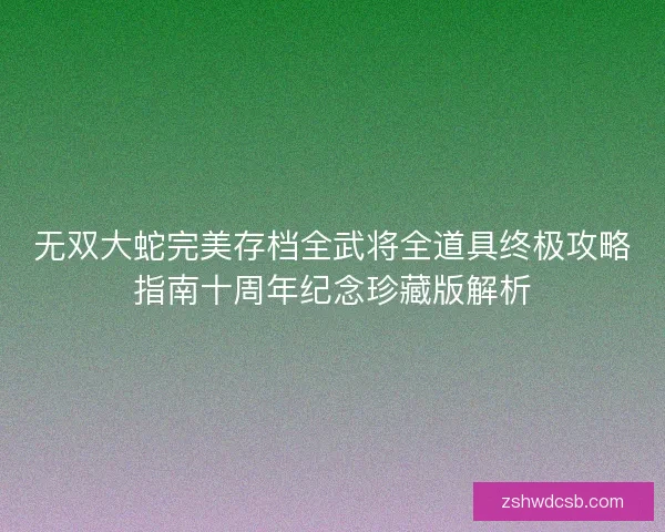 无双大蛇完美存档全武将全道具终极攻略指南十周年纪念珍藏版解析