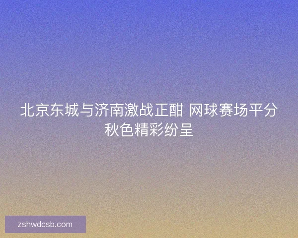 北京东城与济南激战正酣 网球赛场平分秋色精彩纷呈