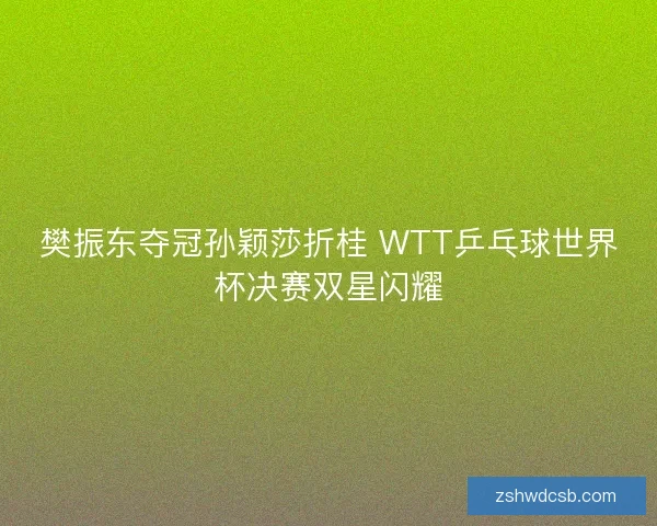 樊振东夺冠孙颖莎折桂 WTT乒乓球世界杯决赛双星闪耀