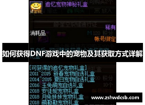 如何获得DNF游戏中的宠物及其获取方式详解